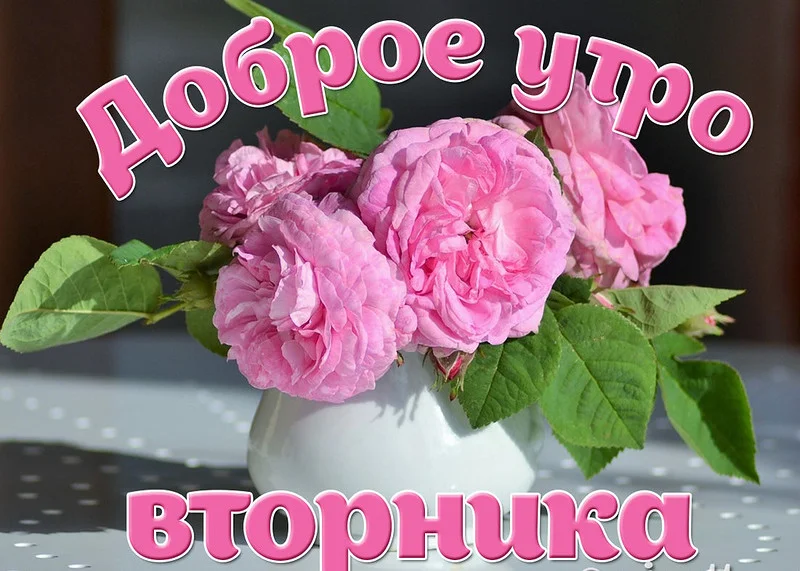 вт.webp