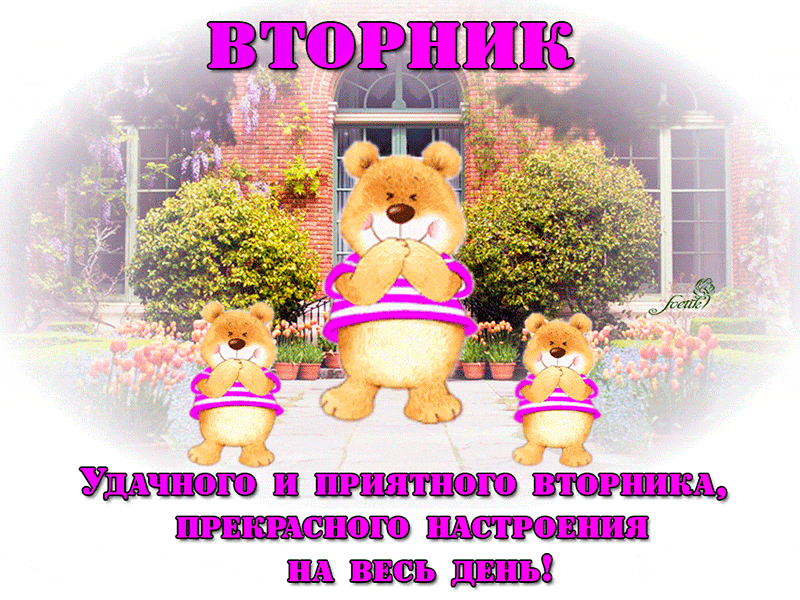 вторник-2.gif