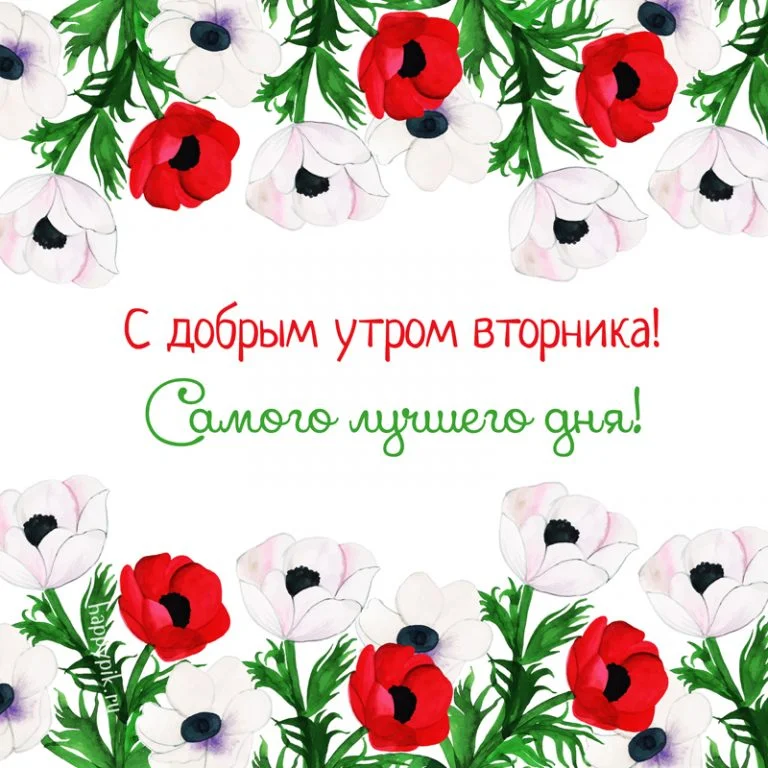 вторник.webp