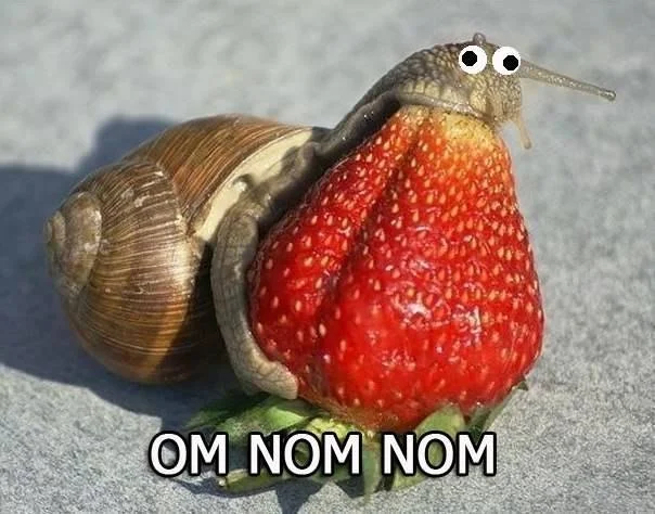 vVOtnz1ZDbg.webp