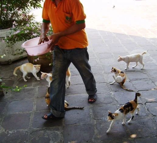 Вход в храм Ват По Таиланд.webp