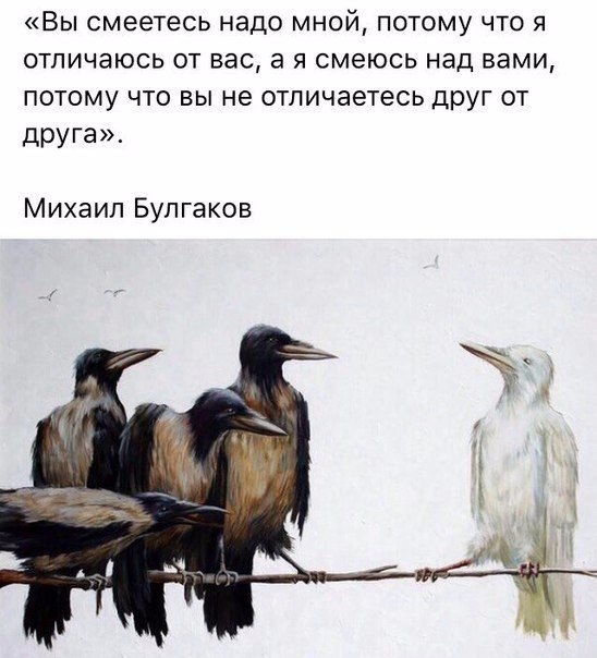 Вы одинаковые.jpg