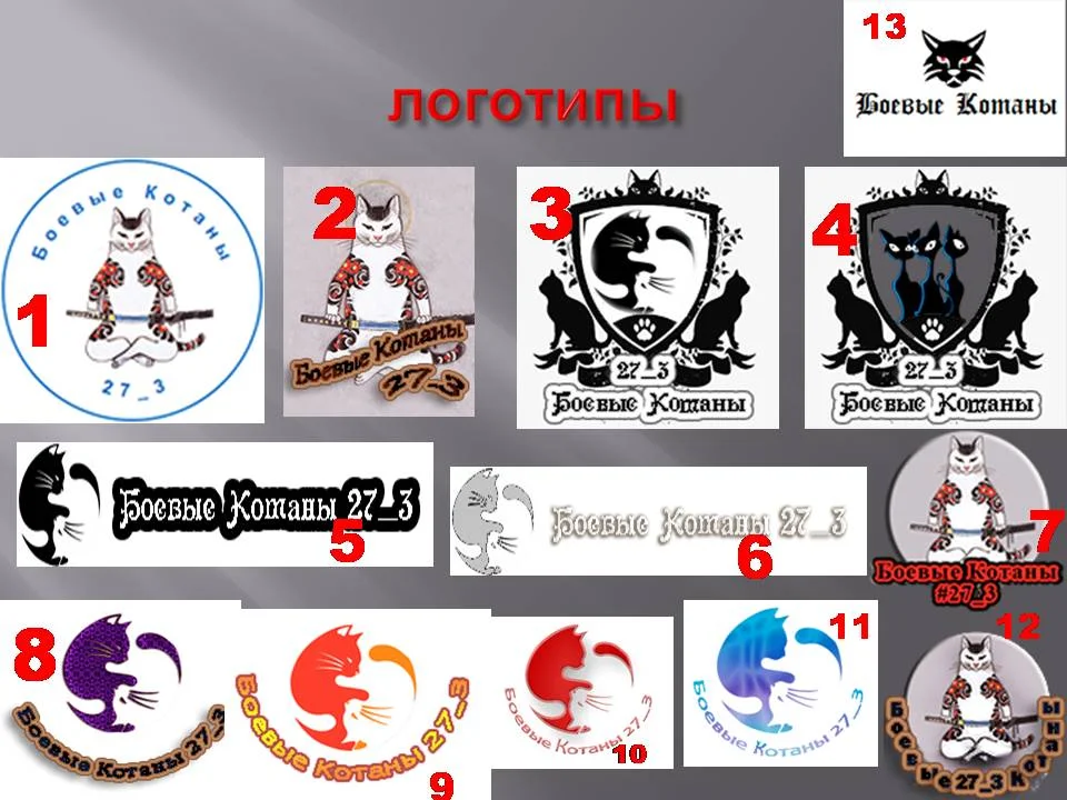 выбор логотипа.webp