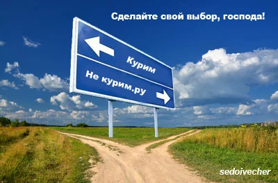 Выбор.webp