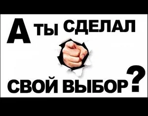 выбор.webp