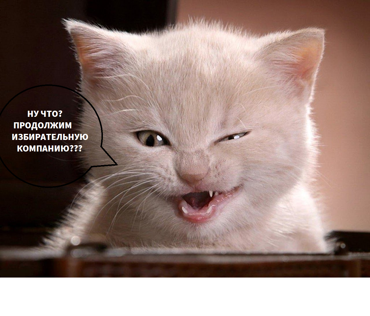 ВЫБОРЫ.png