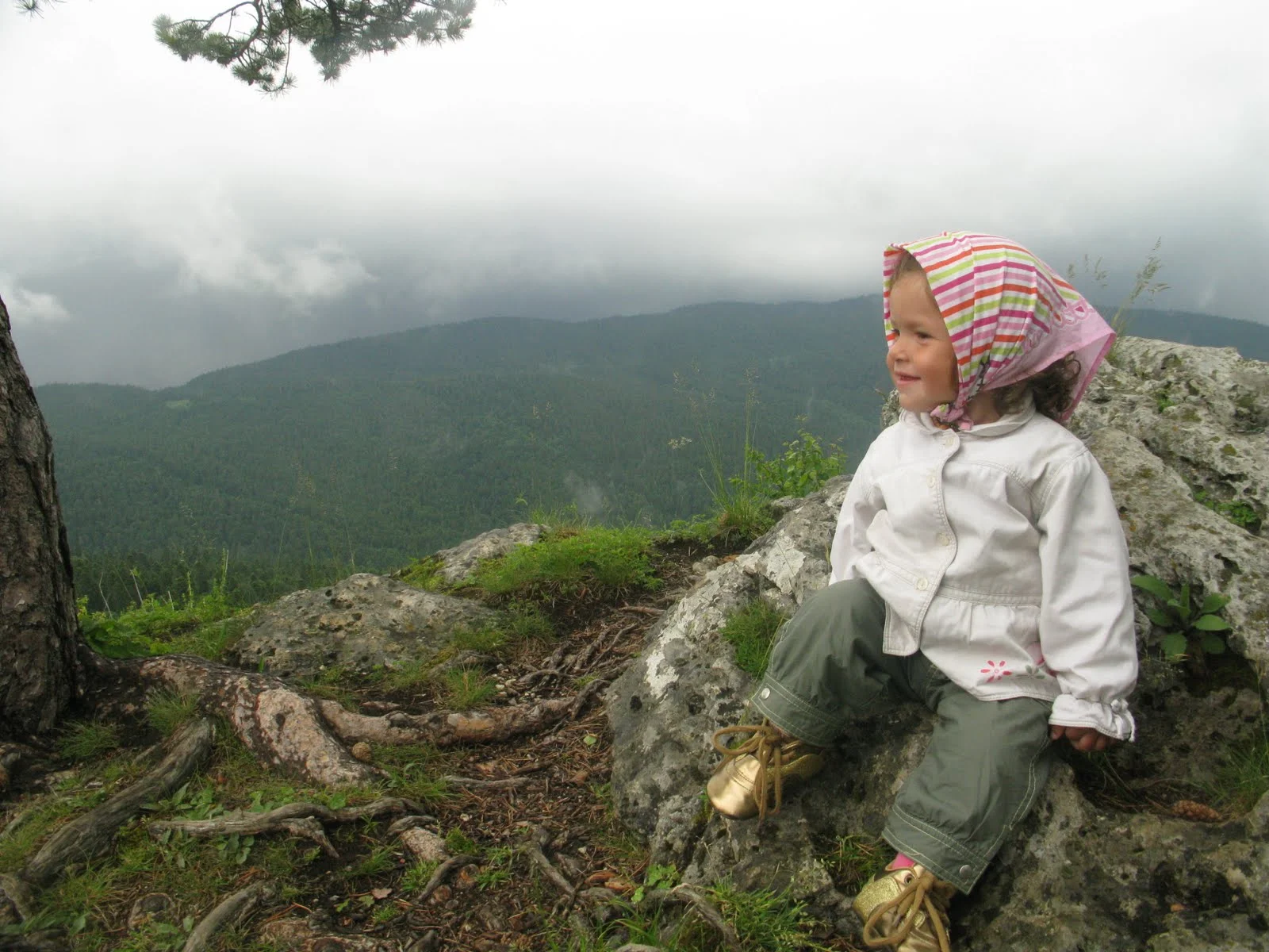 высота 2000 м_193.webp