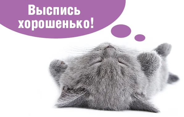 выспись.webp