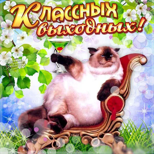 выходные2марина.webp