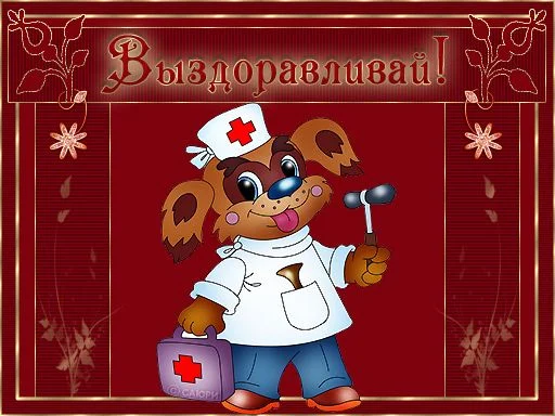 выздоравливай.webp