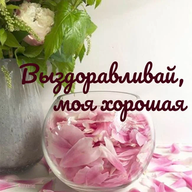 Vyzdoravlivay-moya-xoroshaya.webp