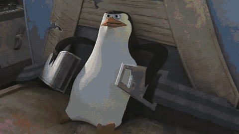 взлет мадагаскар.gif