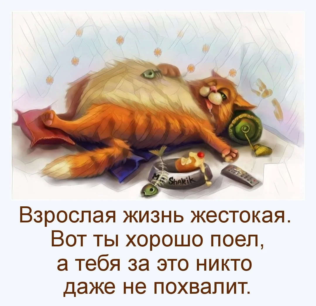 Взрослая-жизнь-жестокая.-Вот-ты-хорошо-поел-а-тебя-за-это-никто-даже-не-похвалит.webp