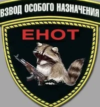взвод енот.webp