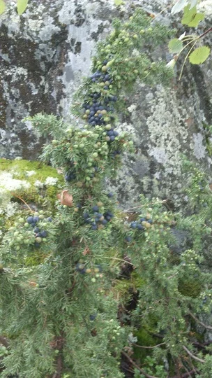 w-ZXTeZmETQ (1).webp