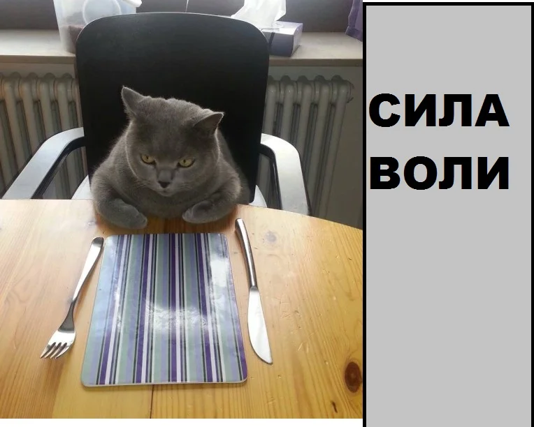 W4eOT9_uIG4.webp