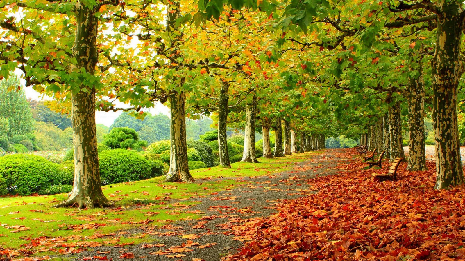 wallpapers-autumn-06.webp