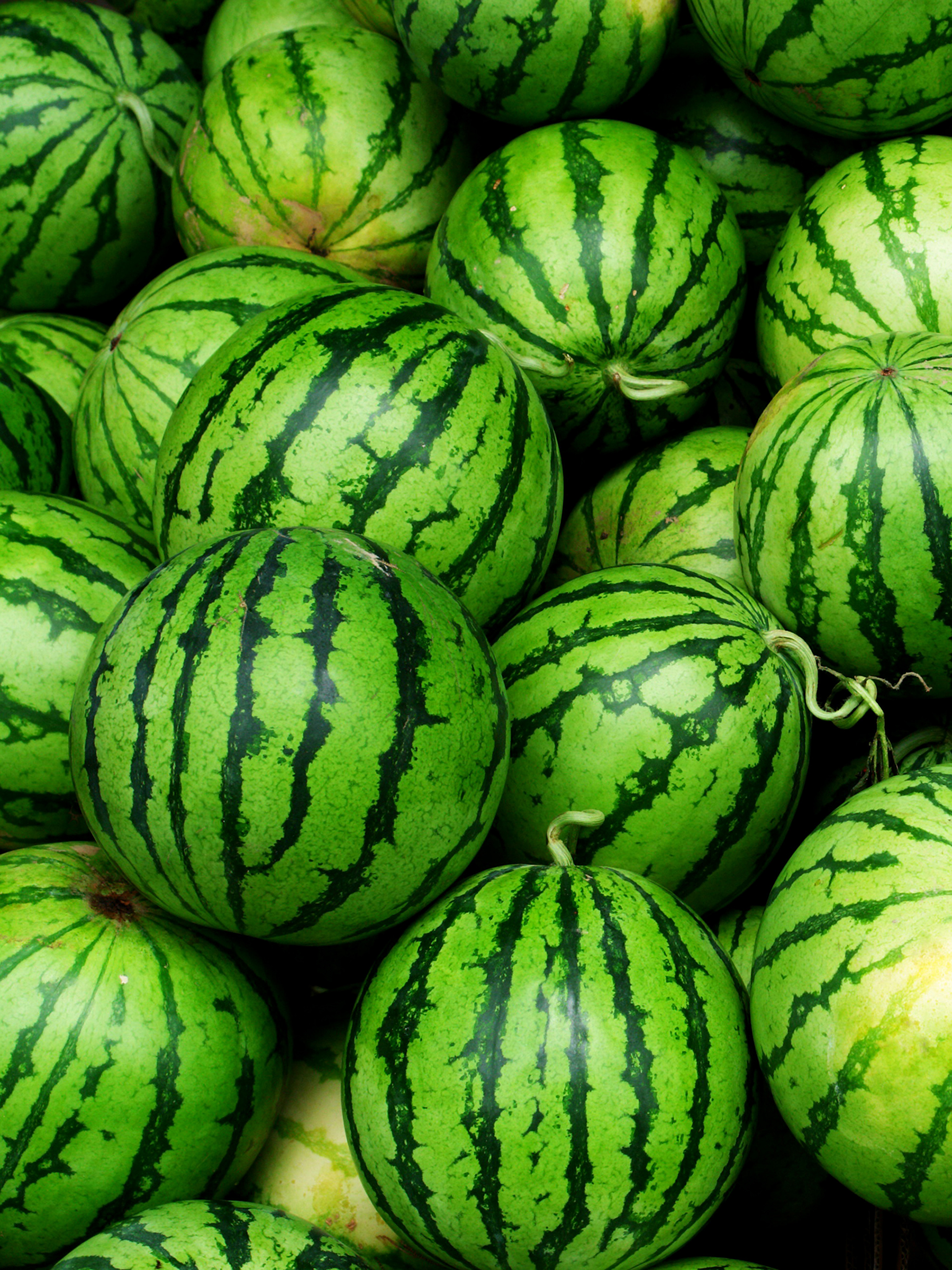 Watermelons_Many_527947_2048x2732.jpg