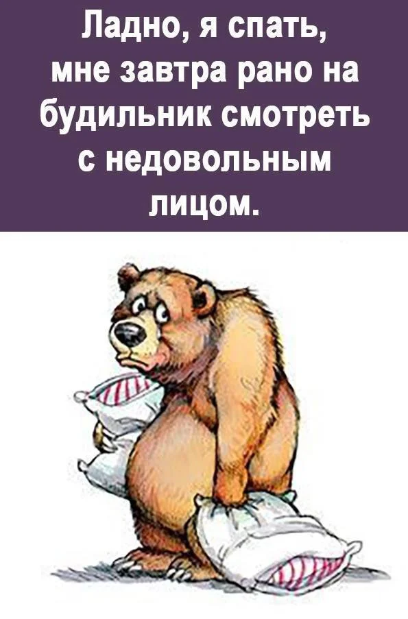 wDfS9yW32V4.webp