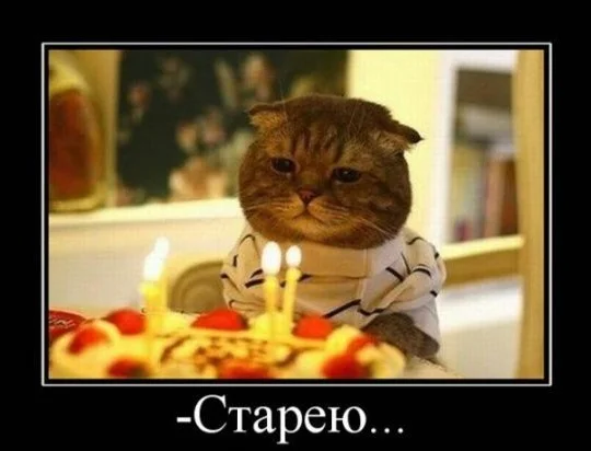 ь.webp