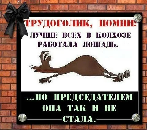 ���������� �����.webp