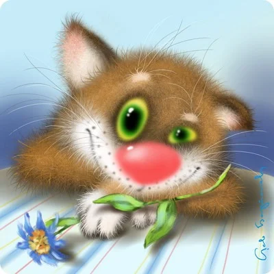 '.webp