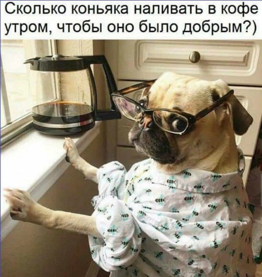 wFIMqw15iO.jpg