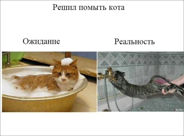 wG_zhcu70EU.webp