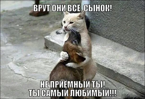 Wgxw1tqihr8.webp