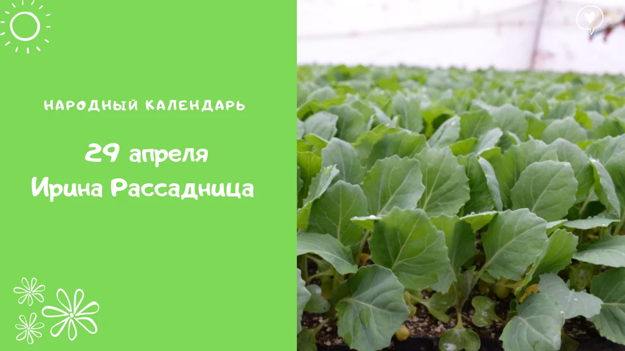 What's in my makeup bag_ (1).webp