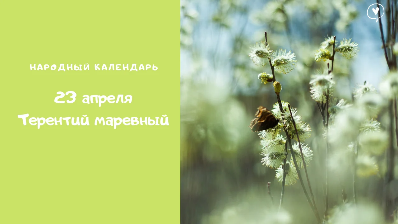 What's in my makeup bag_ (2).webp