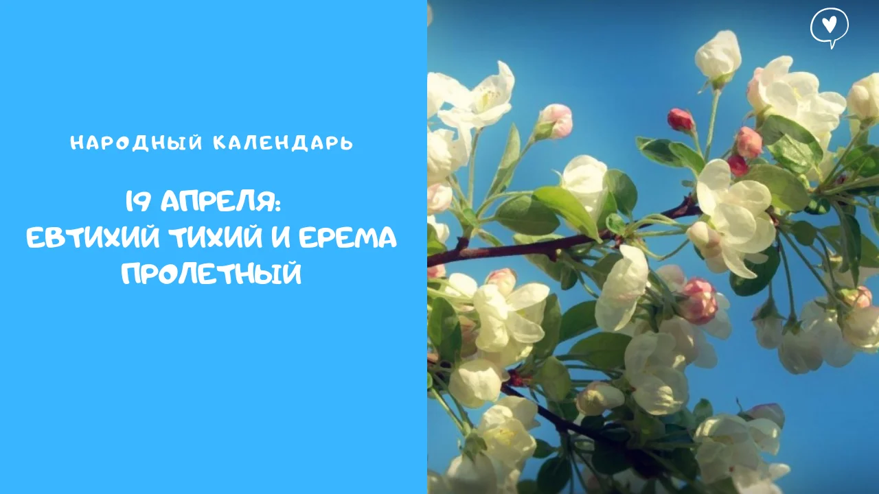 What's in my makeup bag_.webp