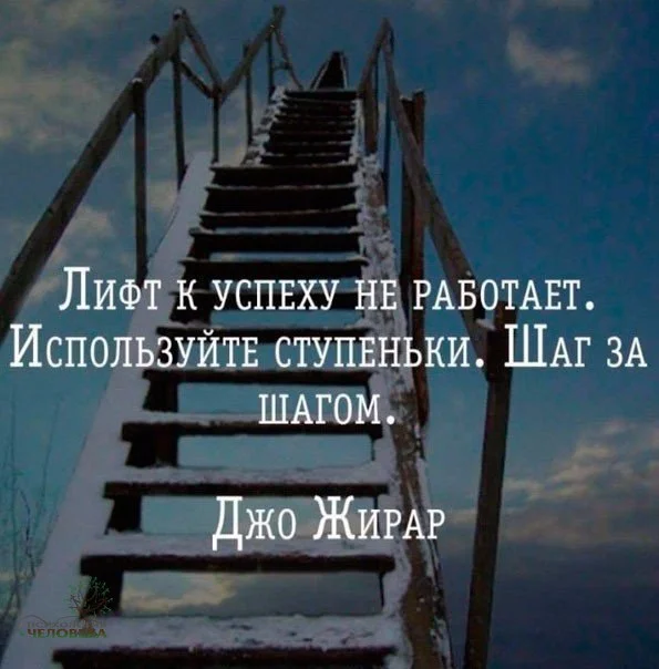 WhatsApp Image 2017-03-17 at 16.12.21.webp