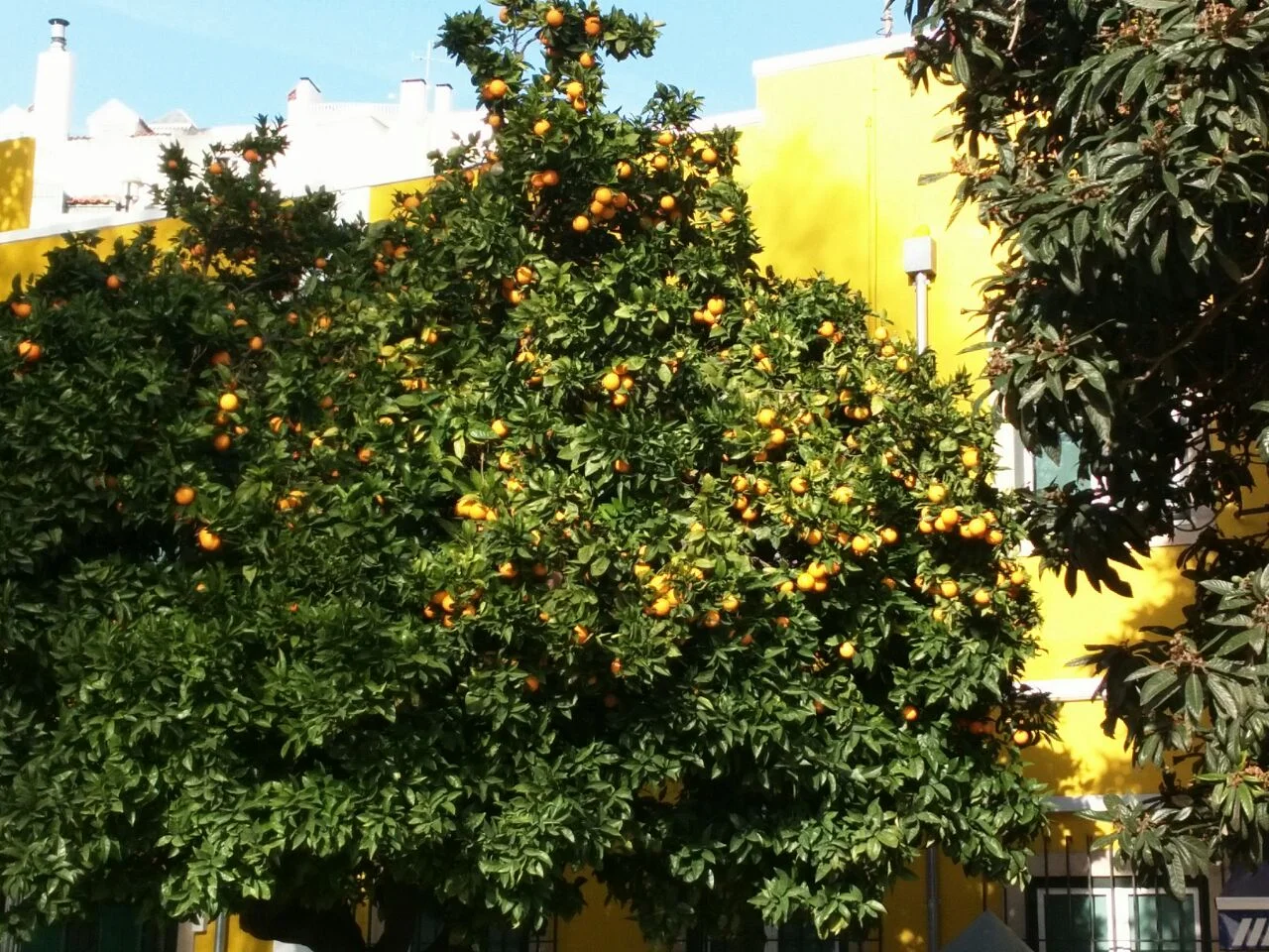 WhatsApp Image 2018-01-07 at 15.21.27.jpeg