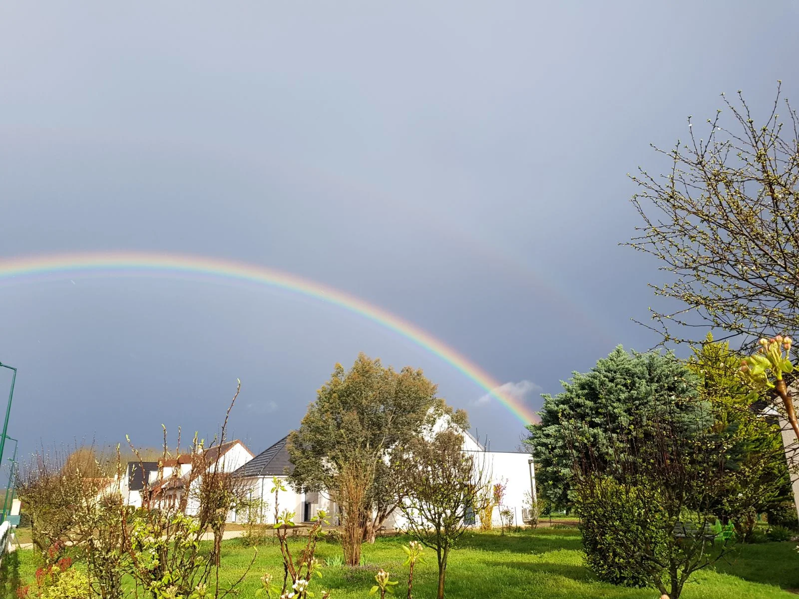 WhatsApp Image 2018-04-10 at 09.25.31.webp