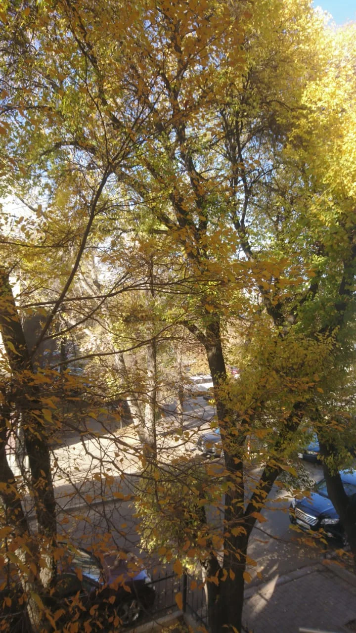 WhatsApp Image 2018-11-06 at 10.51.16.webp