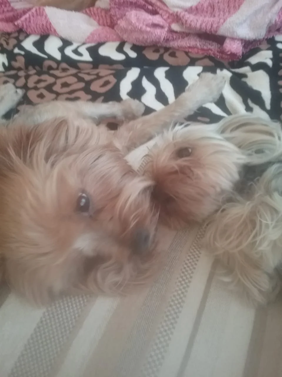 WhatsApp Image 2018-11-22 at 13.31.40.jpeg