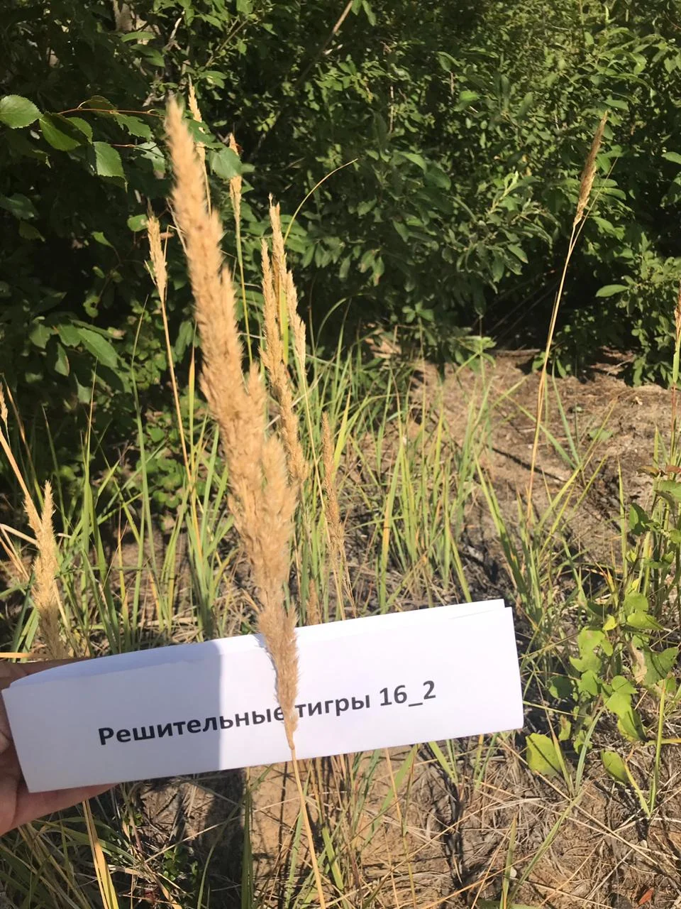 WhatsApp Image 2019-08-20 at 12.47.26.webp