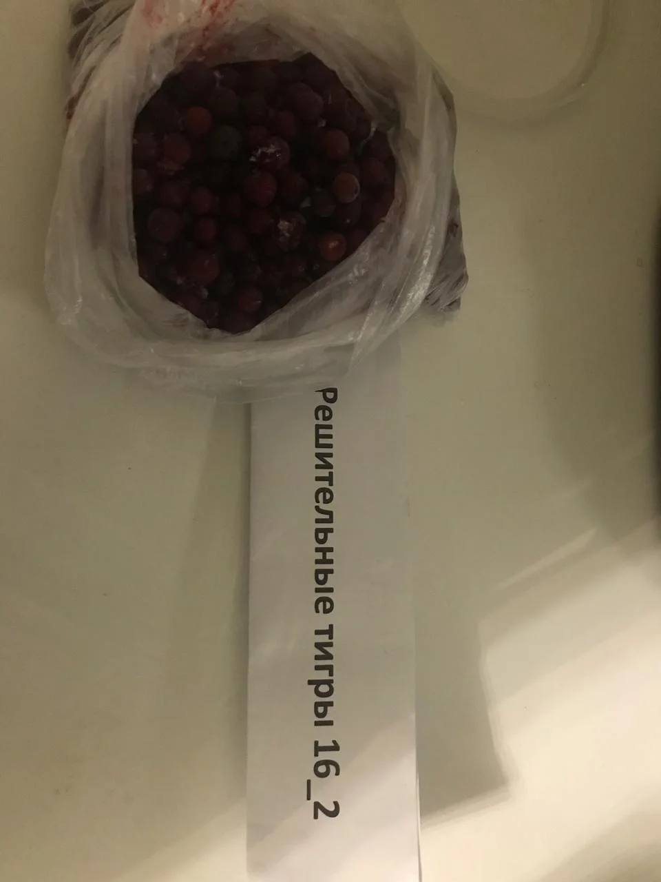 WhatsApp Image 2019-08-21 at 22.53.25.webp