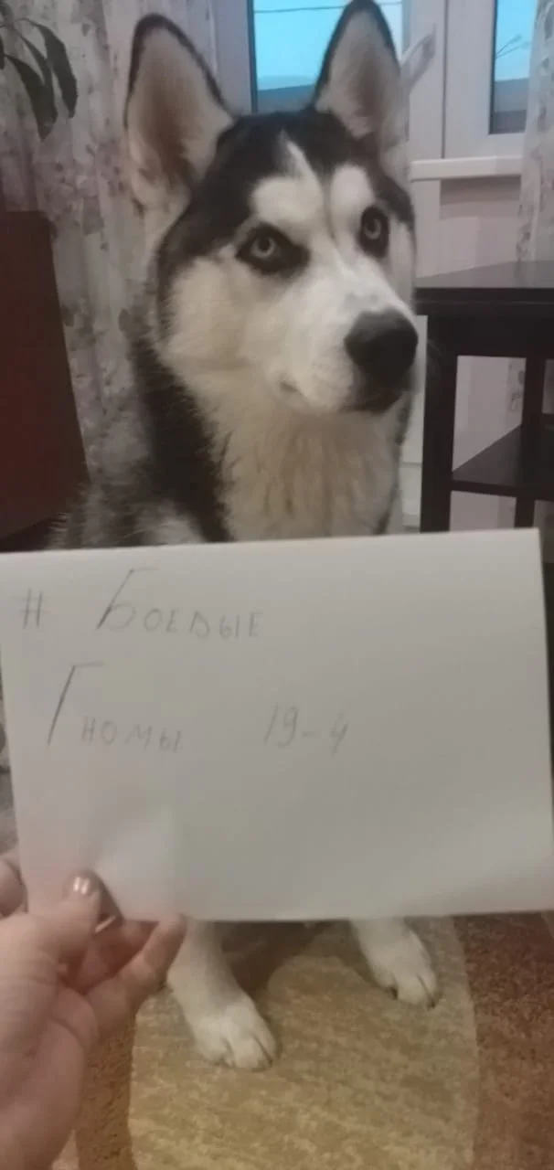 WhatsApp Image 2019-12-03 at 16.34.25(1).webp