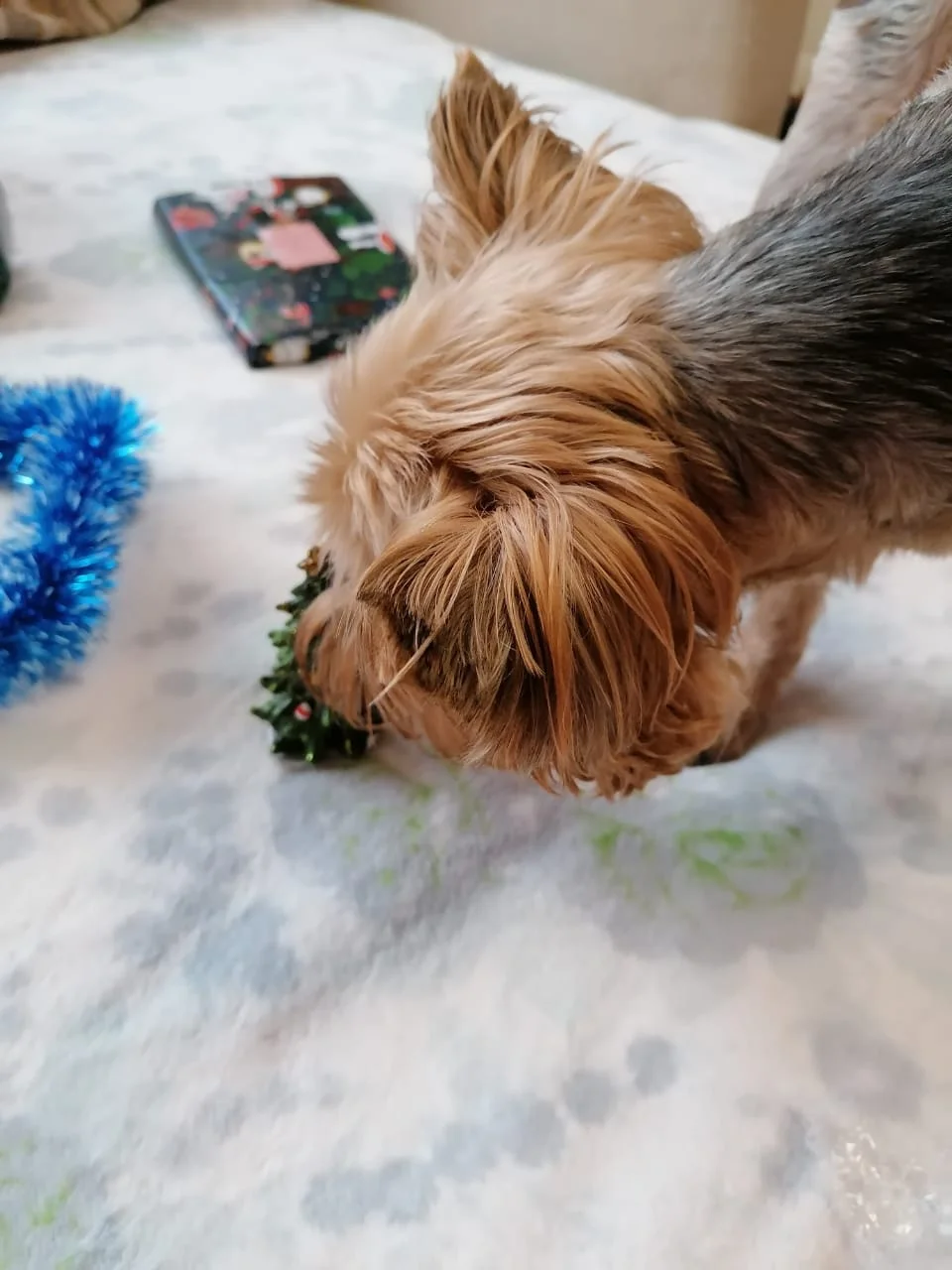 WhatsApp Image 2019-12-23 at 15.46.02(1).webp