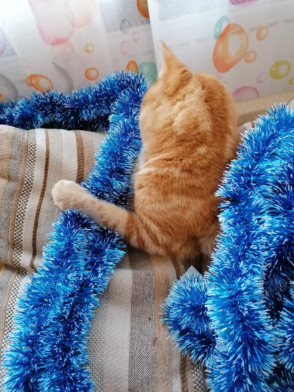 WhatsApp Image 2019-12-23 at 15.46.02(4).webp