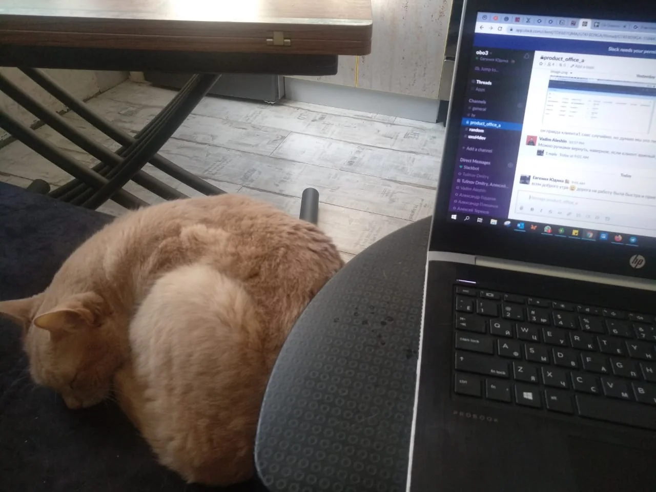 WhatsApp Image 2020-03-18 at 09.11.33.webp