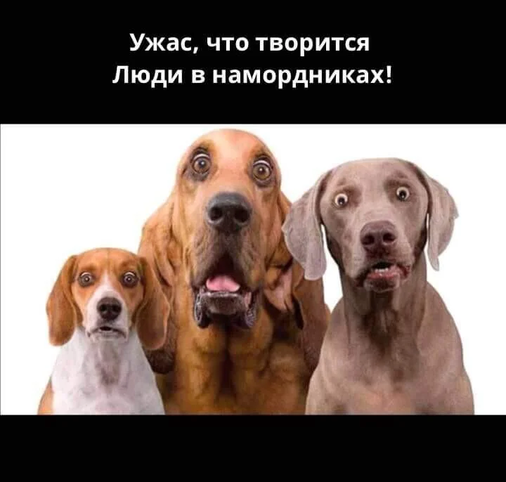 WhatsApp Image 2020-03-26 at 15.04.31.webp