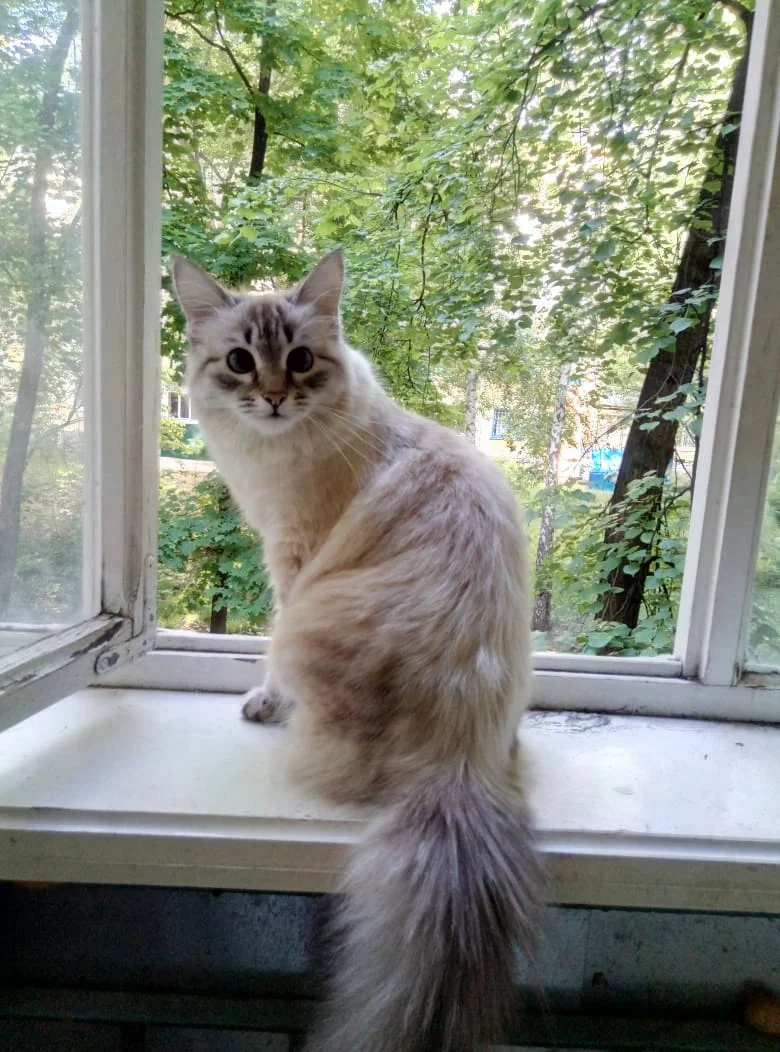 WhatsApp Image 2020-04-07 at 22.54.01.webp