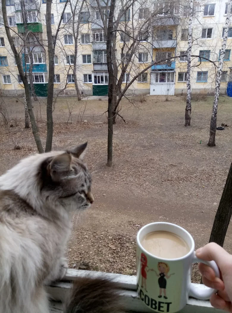 WhatsApp Image 2020-04-14 at 14.25.28.webp