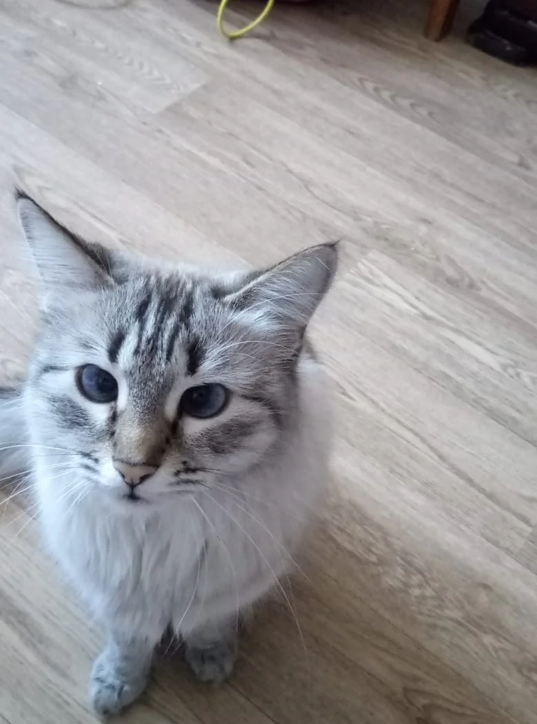 WhatsApp Image 2020-04-14 at 14.25.29.webp