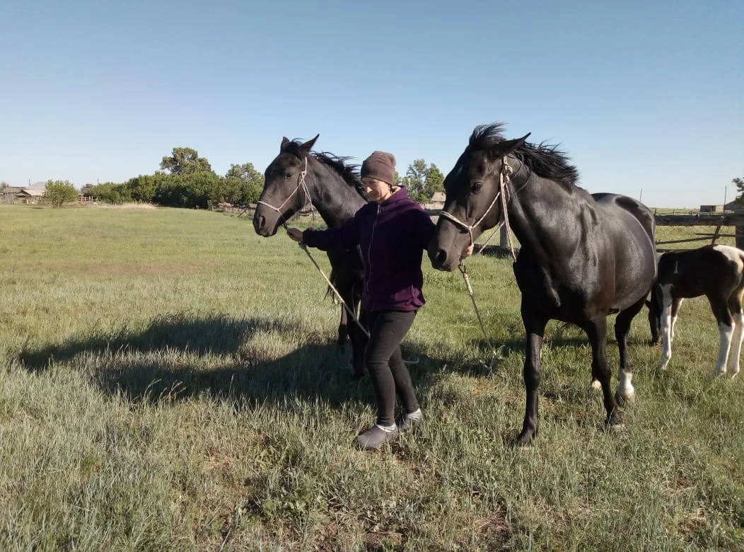 WhatsApp Image 2020-05-27 at 18.27.21.webp