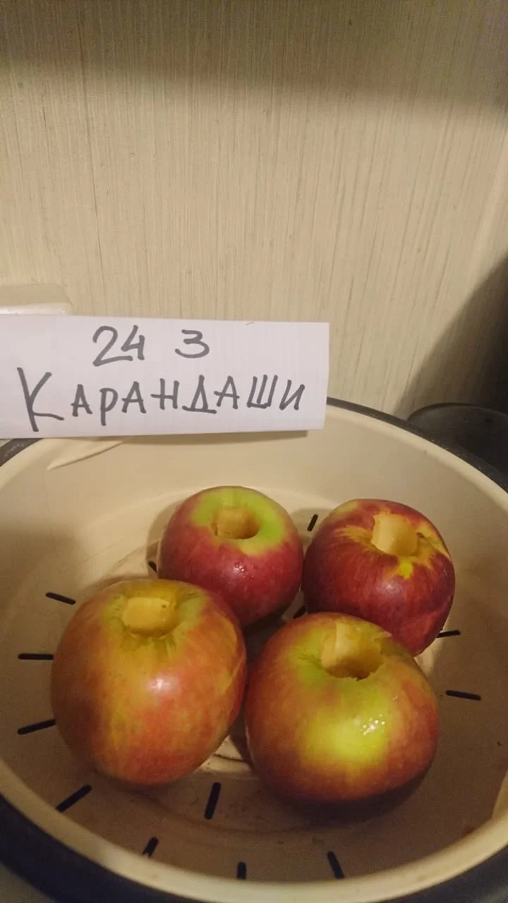 WhatsApp Image 2020-07-09 at 17.34.18.jpeg