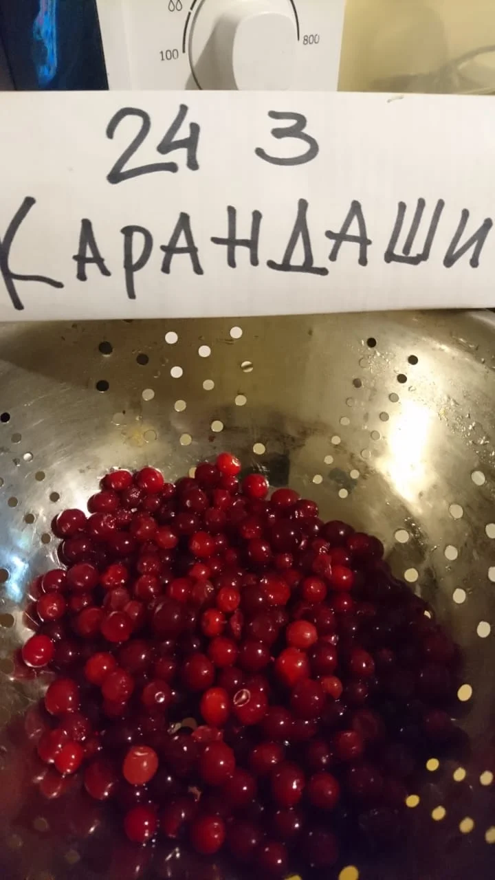 WhatsApp Image 2020-07-09 at 19.00.30.webp